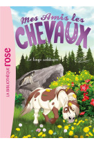 Mes amis les chevaux 08 le loup solitaire