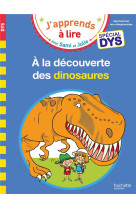 A la decouverte des dinosaures special dys