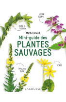 Mini-guide des plantes sauvages