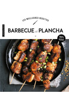 Barbecue et plancha