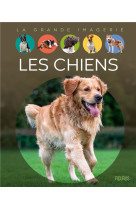 Les chiens