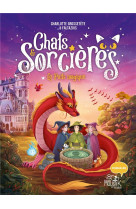 Chats et sorcieres t03 le puits magique