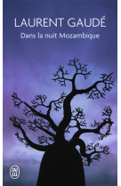 Dans la nuit mozambique