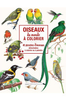 Oiseaux du monde a colorier - 40 planches d -oiseaux detachables a colorier ou a peindr