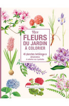 Mes fleurs du jardin a colorier - 40 planch es botaniques detachables a colorier ou a p