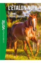 L'etalon noir t10 flamme, cheval sauvage