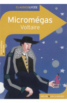 Micromégas