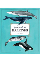 La vie secrete des baleines