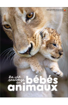 La vie sauvage des bébés animaux