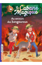 La cabane magique, tome 19