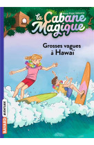 La cabane magique, tome 23