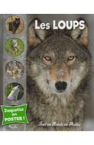 Les loups