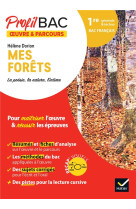 Mes forets - profil bac - 1re generale techno bac 2024