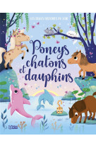 Poneys chatons et dauphins