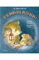 Tu ne dors pas petit ours mini pop up