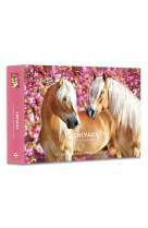 Agenda - calendrier - chevaux