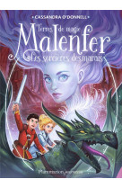 Malenfer t4 terres de magie les sorcieres des marais