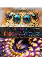 Animaux enigmatiques - la vie secrete des animaux les plus impressionnants