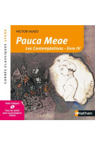 Pauca meae ne 2018