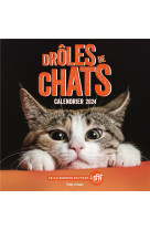 Calendrier mural droles de chats 2024