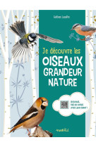 Je decouvre les oiseaux grandeur nature