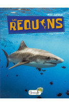 Les requins