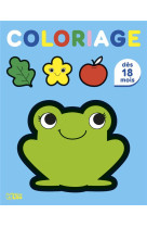 Coloriage - grenouille - les grands coloriages des tout-petits - 18 mois