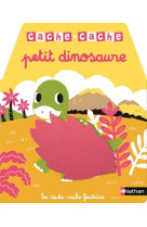 Cache cache petit dinosaure caisse a