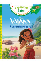 Vaiana - a la rencontre de pua cp niveau 2