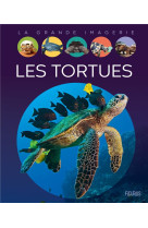 Les tortues