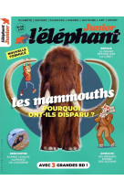 Elephant junior - n° 20