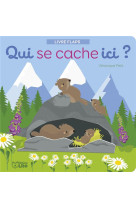 Qui se cache ici - les animaux de la montagne