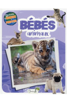 Bebes animaux