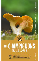 Champignons des sous-bois