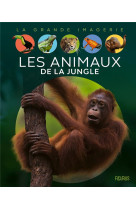 Les animaux de la jungle