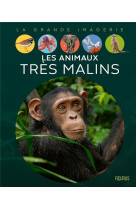 Les animaux tres malins