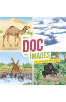 Mon doc en images animaux sauvages