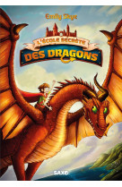 L-ecole secrete des dragons t01 broche