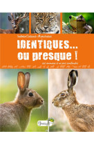 Identiques... ou presque !