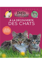 A la decouverte des chats