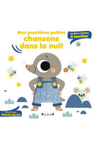 Mes premieres petites chansons dans la nuit