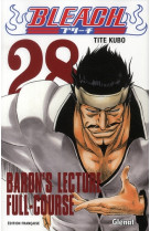 Bleach t28