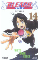 Bleach - tome 14