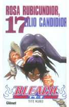 Bleach - tome 17