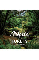 Calendrier mural arbres et forets 2023