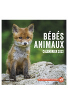 Calendrier mural bebes animaux 2023