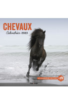 Calendrier mural chevaux 2023