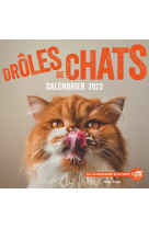 Calendrier mural - droles de chats 2023