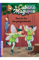 La cabane magique, tome 20