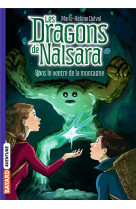 Les dragons de nalsara, tome 12